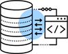 custom software development